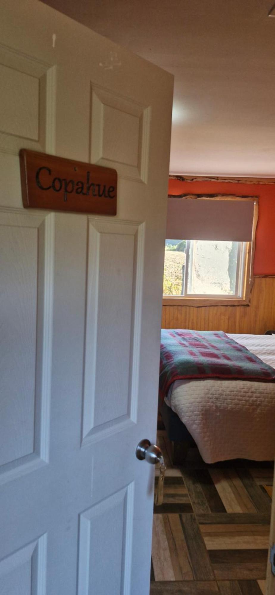 Cabanas & Hostal Lefuco Curacautín 외부 사진